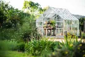 Go through the Pleasure of Homegrown Pleasures with Greenhouses on the market post thumbnail image