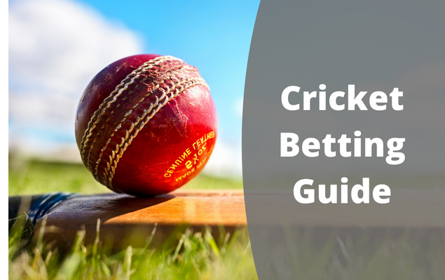 Cricket Compass: Navigating Websites for Wisdom post thumbnail image