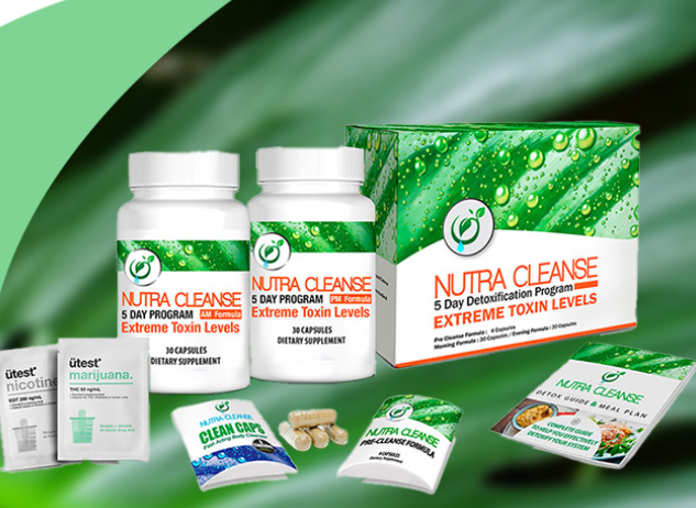 Best THC Detox Supplements: Boosting Your Cleanse post thumbnail image