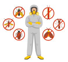 Say Goodbye to Pests with Las Vegas Exterminators post thumbnail image