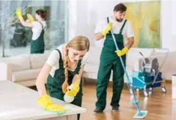Beyond Clean: Unveiling the Excellence of Domestic Cleaning post thumbnail image