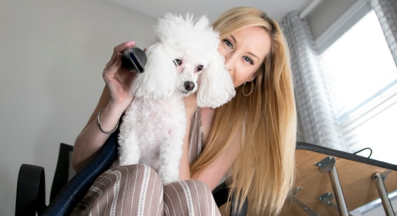 Fuss-Free Grooming: Dog Blow Dryers that Simplify the Process post thumbnail image