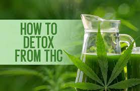 Top Tips for a Successful THC Detox post thumbnail image