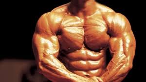 Decoding the Bait and Peril of Buying Steroids Online post thumbnail image