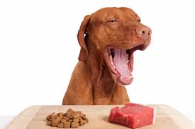 Exploring Raw Dog Food Choices: What’s Best for Your Pet post thumbnail image