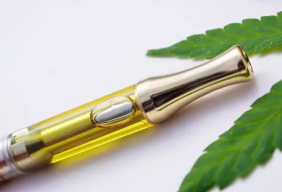 THC Cartridges: Live Resin’s Therapeutic Terpene Fusion post thumbnail image