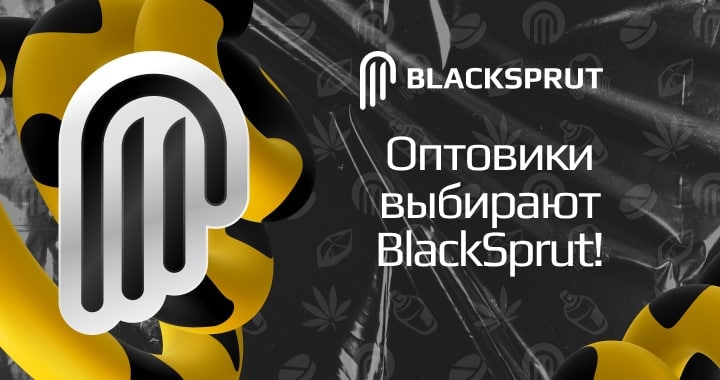 BlackSprut Web Essentials: Your Key to Success post thumbnail image