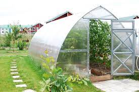 Year-Round Greenery: The Allure of Greenhouses for Sale post thumbnail image